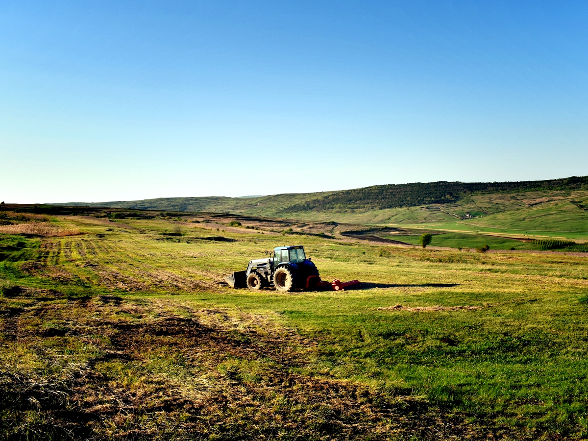 Tractor in a field